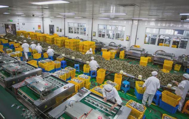 创富内参：这几个10万以内的小型加工厂做好了年收入百万(图2)